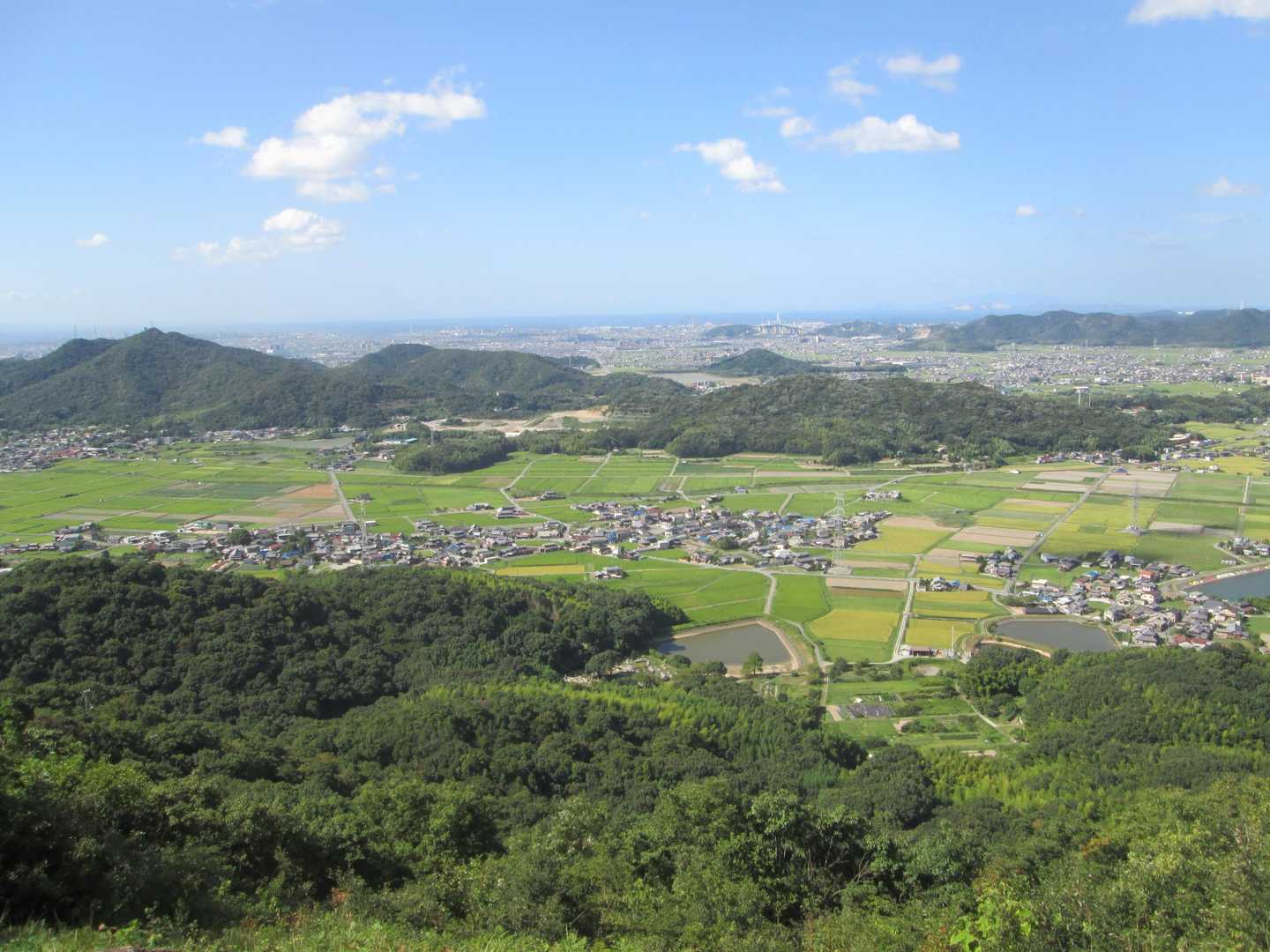 城山 往復コースの写真
