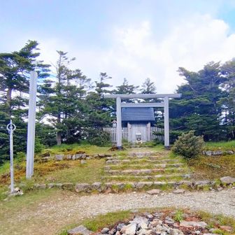 まずは弥山の神様に丁寧にお礼と願掛けをしてお昼に