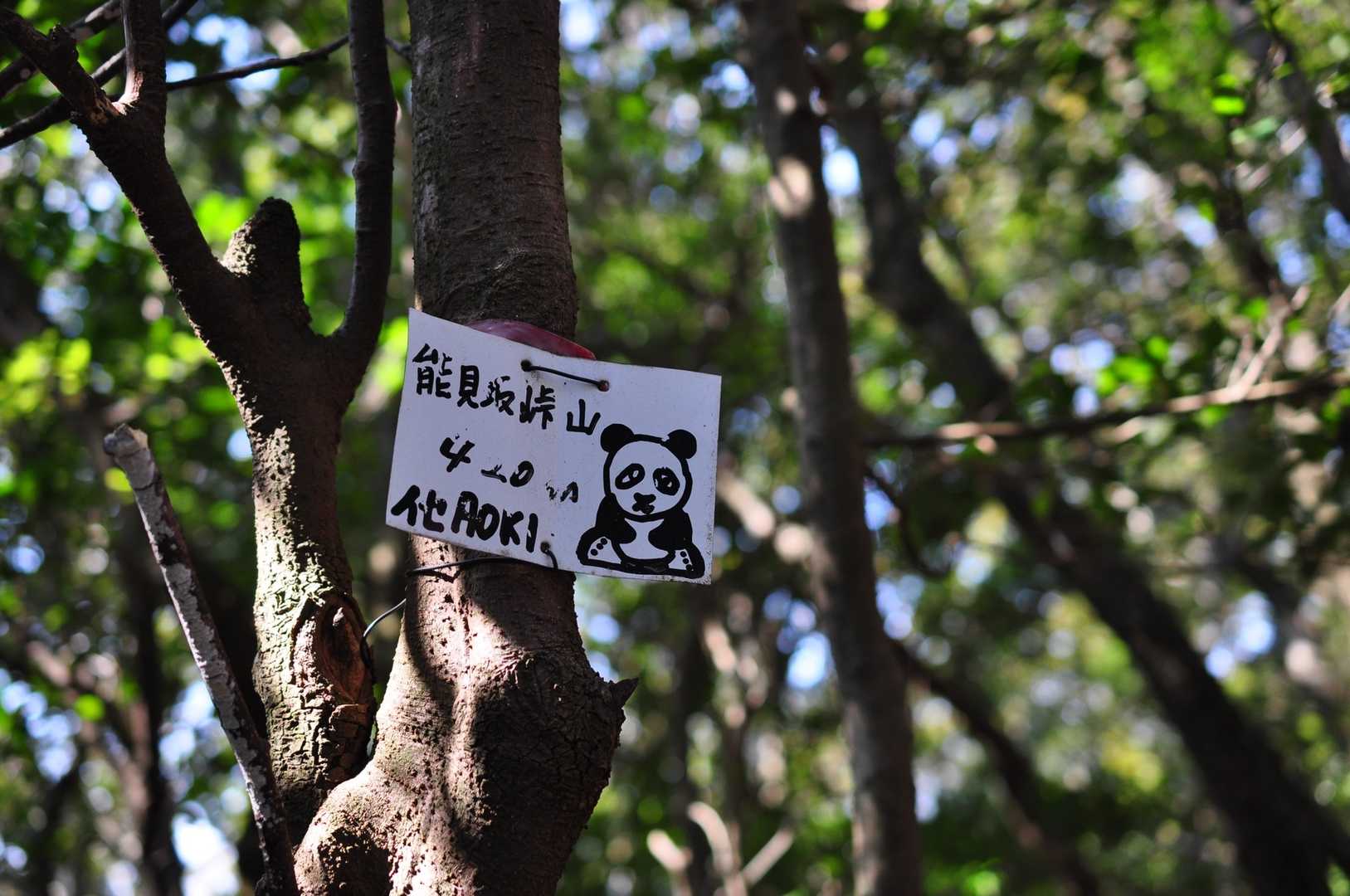 道方山登り口-道方山東峰-道方山 往復コースの写真
