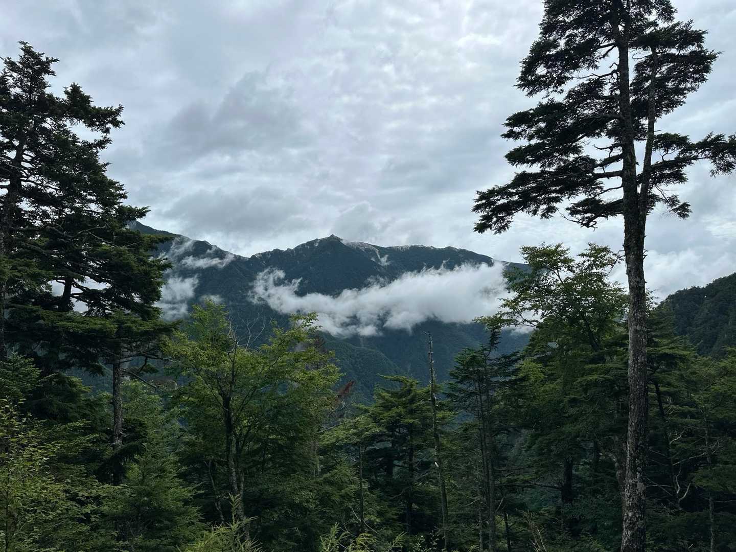 最初のビューポイントまで来ると鳳凰三山がお迎えしてくれます⛰️