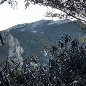 さて、金峰山へ🏔️