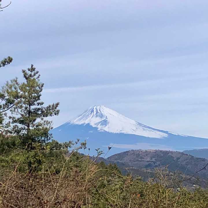 山頂からは富士山。
伊東から裾のも見えるのは珍しいのでは？