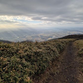 右の方、神々しい光が差しています