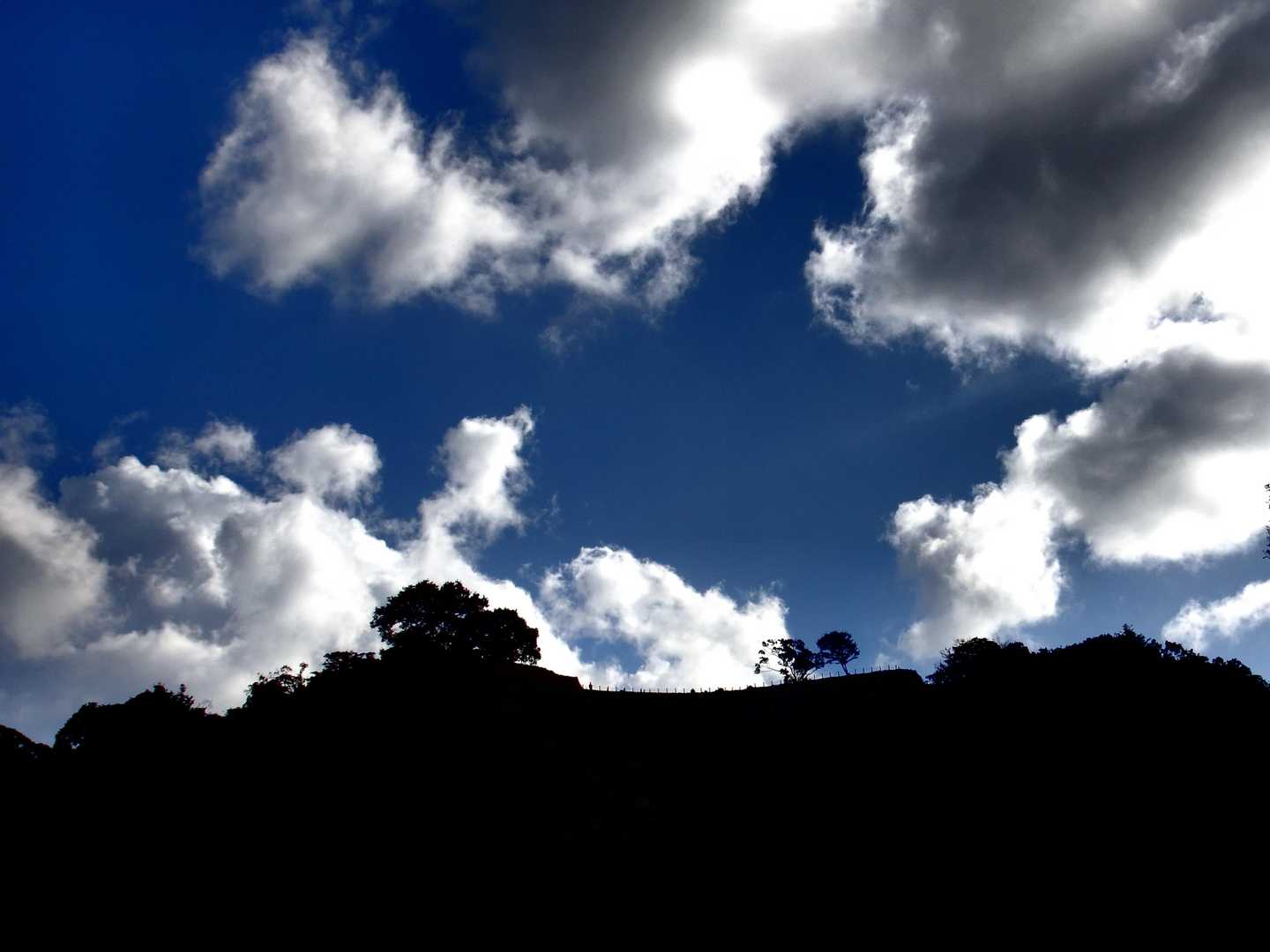月山-月山富田城 本丸跡 往復コースの写真