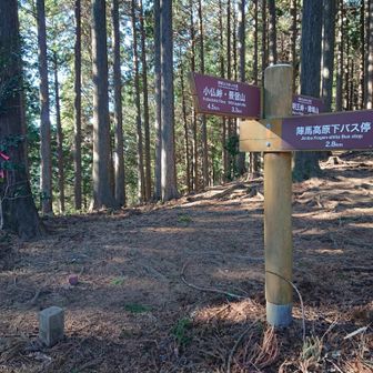 30分くらいは静かなひとり登山でしたが、ここへきて人の流れが
陣馬山からの分岐点でした