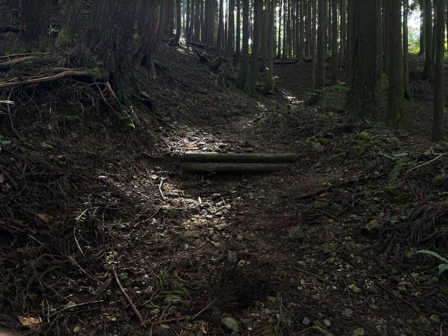 古処山登山口-古処山-屏山-江川岳-宇土浦越-馬見山 周回コースの写真