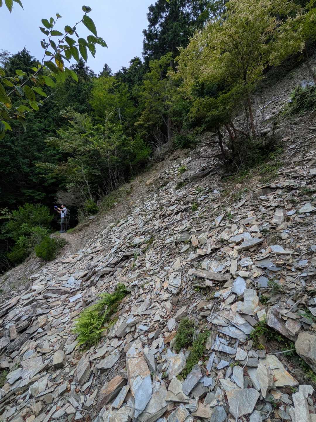 岩の質が広島と違う感じ