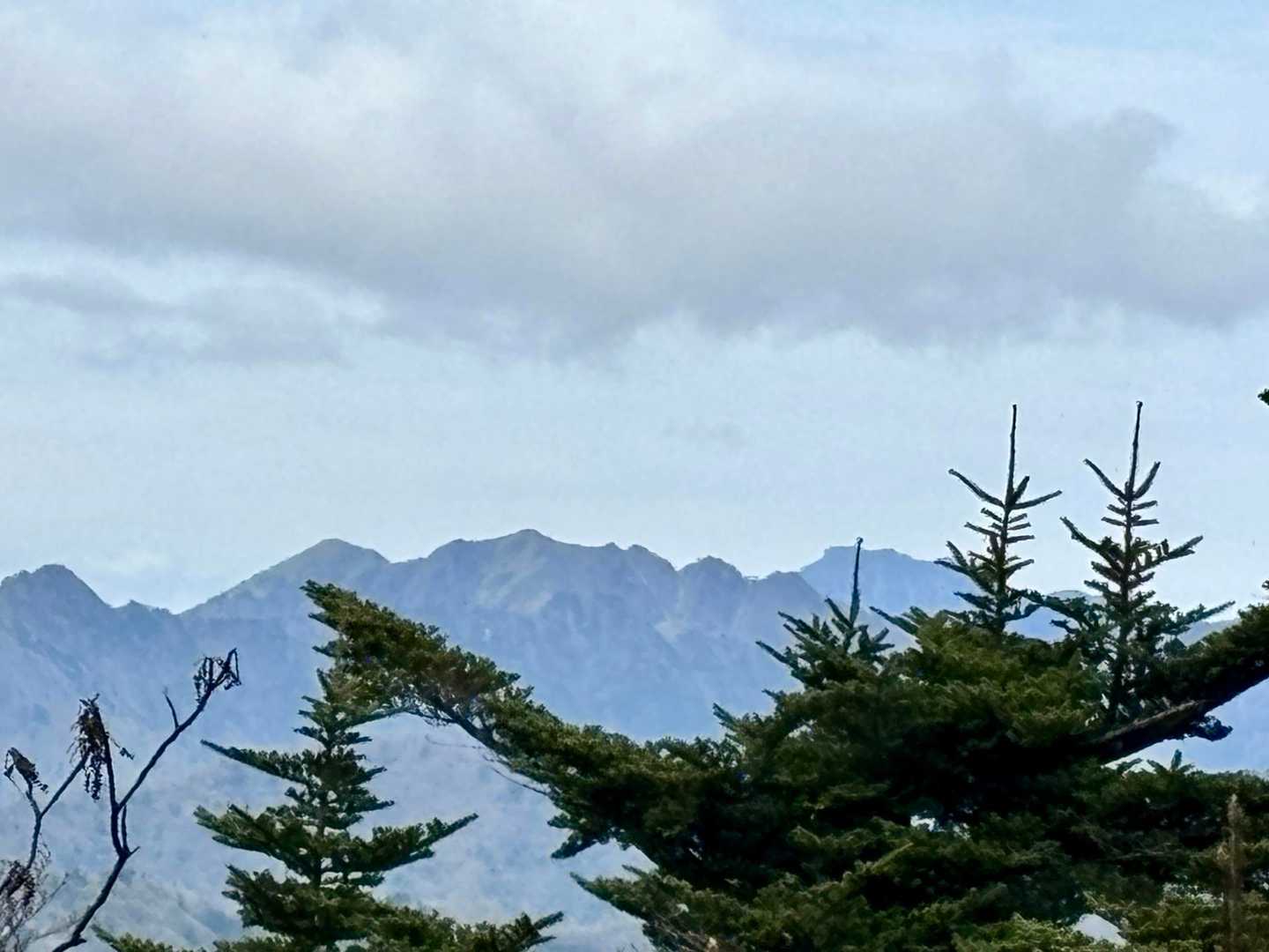 いーしづーちさーーーん