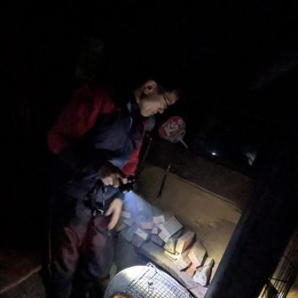 光の向こうにはスラさん😀