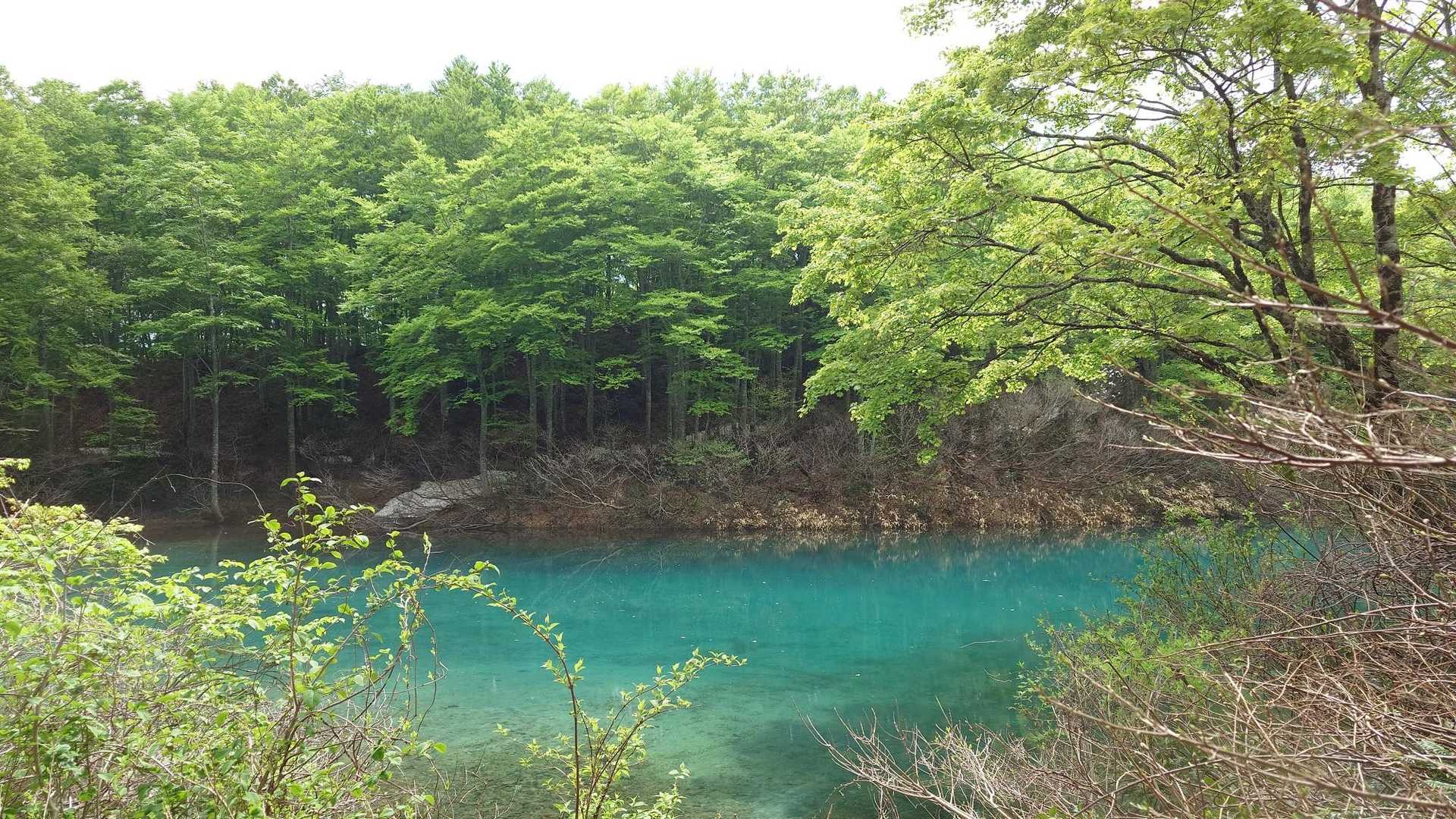 角間池、透き通ったエメラルドグリーンといった感じで、今日は、しろ池より美しい色合いに見えます👀
