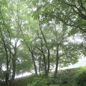 登山口に向かう途中からすでに幻想的