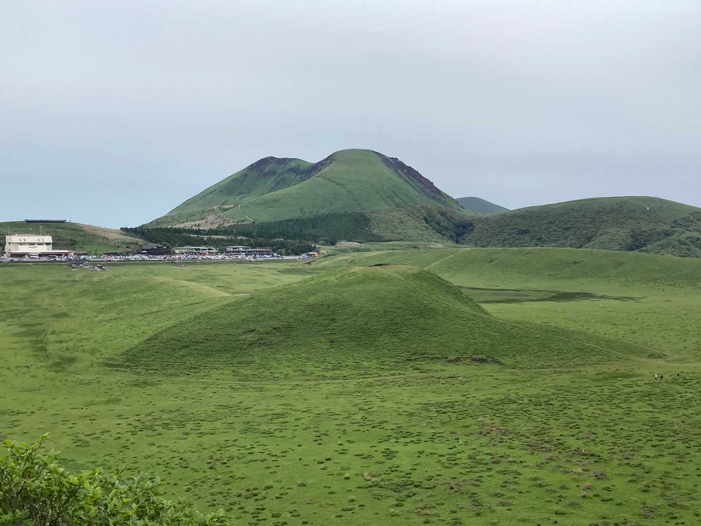 草千里　緑が綺麗✨