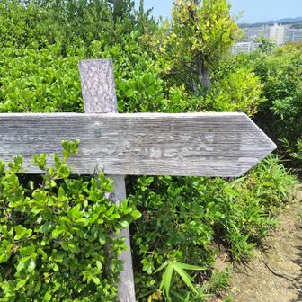 ボンボン山
山頂の看板も消えておりまっす‼️