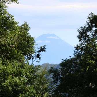 富士見平小屋のビュースポットから富士山