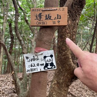 逢坂山