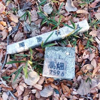 分岐から少しだけ北上すると

高畑山山頂に到着〜㊗️