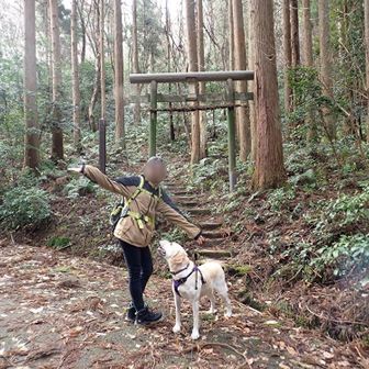 全然雪がない今年の冬😥　暖かいこの日は五りんPも車がいっぱい😲

👧山の神様に会いに行こ🎵
🐶おやつありますか？