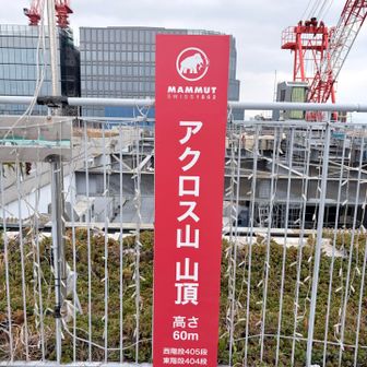 山頂にマムート🐘