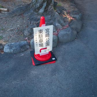 平日だけど普通車の空きは１台のみ。ほかにも駐車場がある