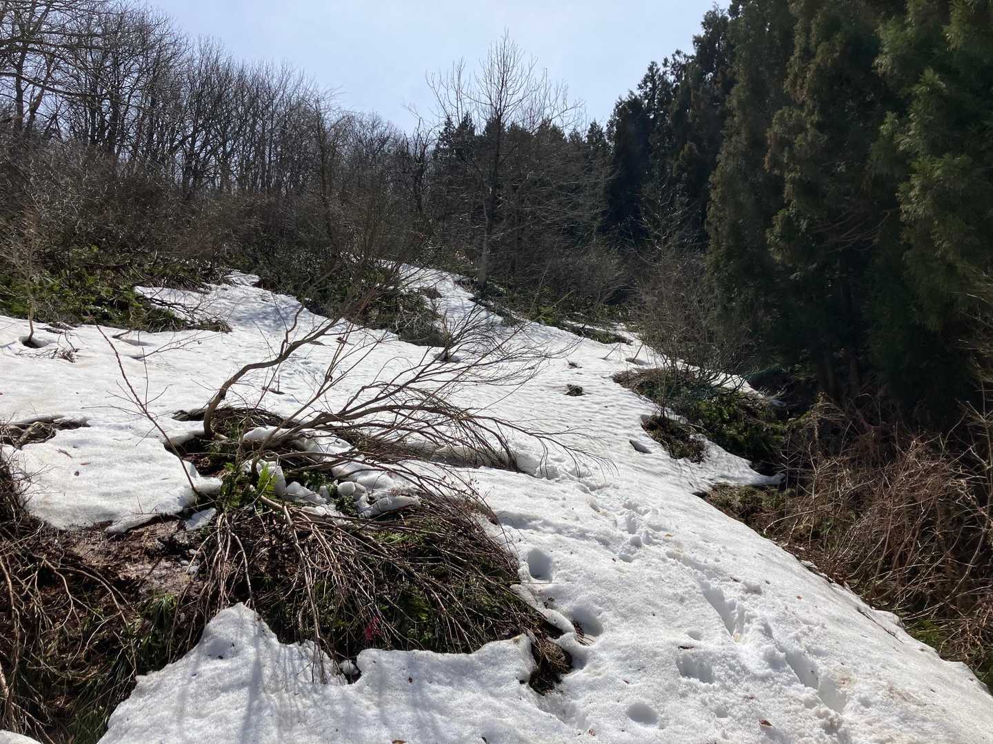 登山口到着‼️
えっこれ登山口と思いましたが、先生の後に続いてつぼ足でスタート😀
