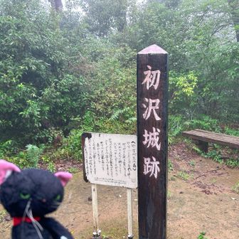 やすべえさんのおかげ
ピークありがとうございます🙏