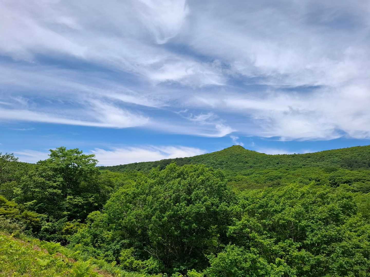 トンガリは牛殺山かなと思ったけど雄国山だった