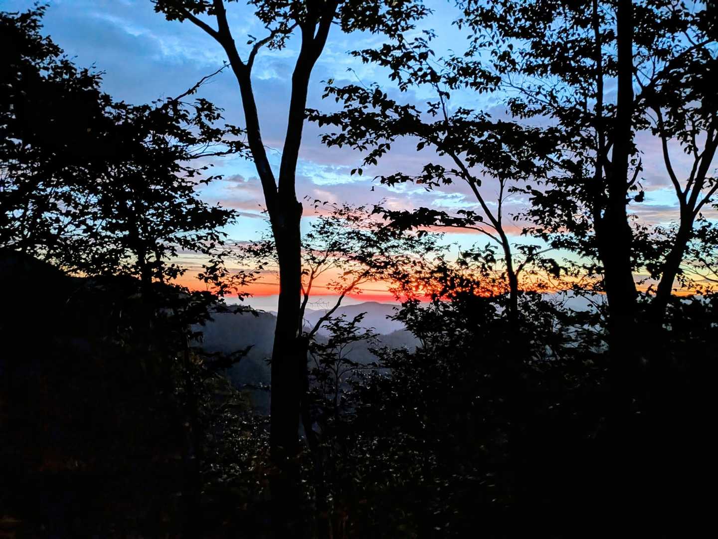 川入4時ブラックスタート✨
樹林帯の中を黙々と登り、少し抜けたところから東の空🌄