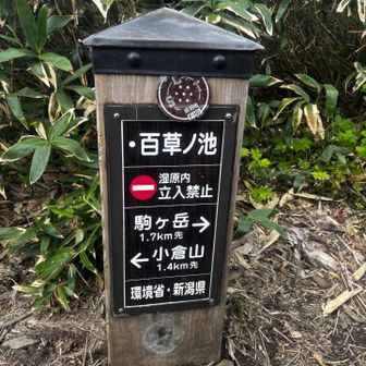 桃草ノ池
