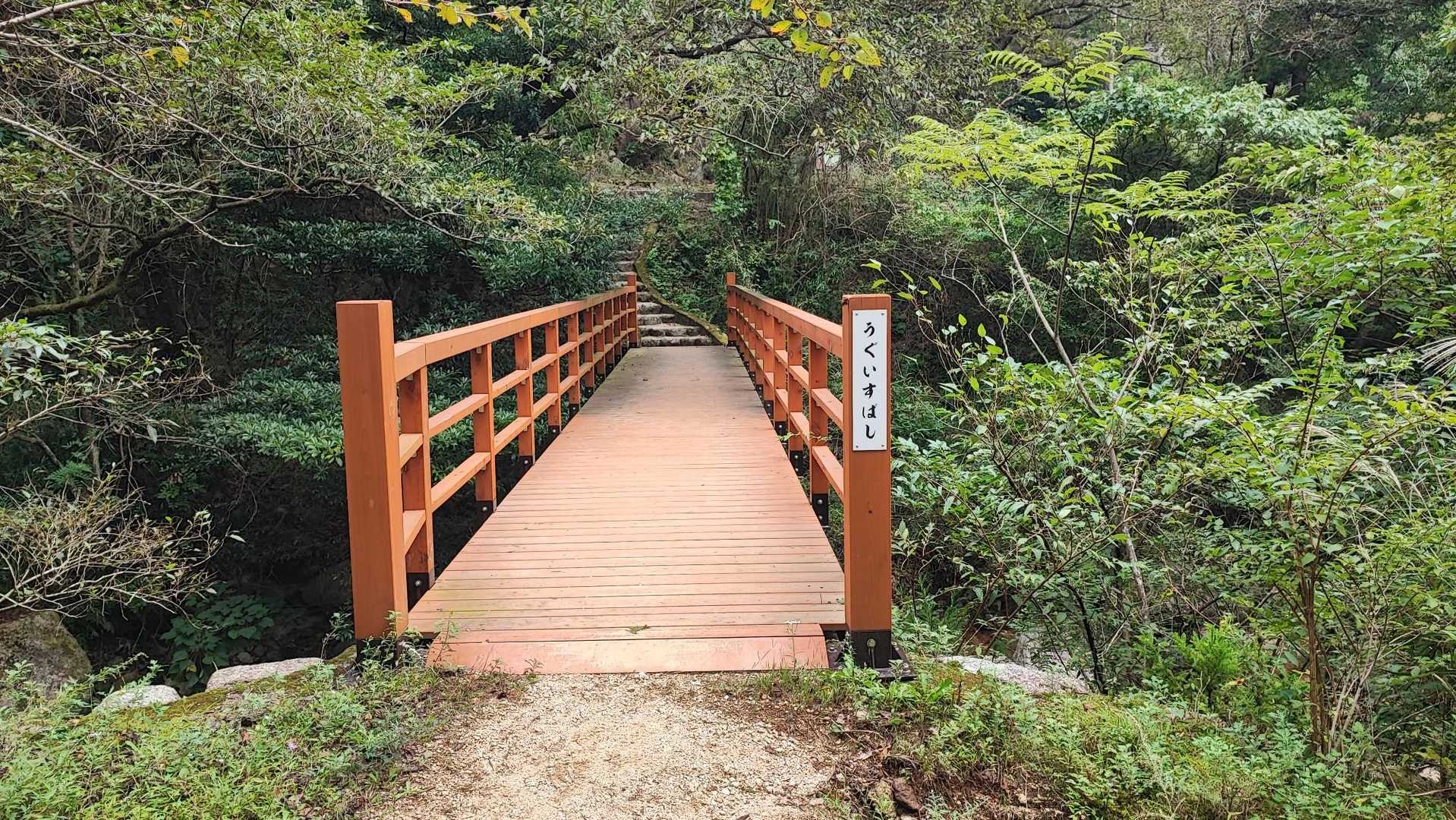 菰野富士登山口-菰野富士 往復コースの写真