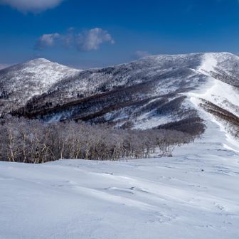 この稜線カッコ良すぎる
これで標高1,000mっていう現実