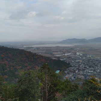 西の湖の眺望です。