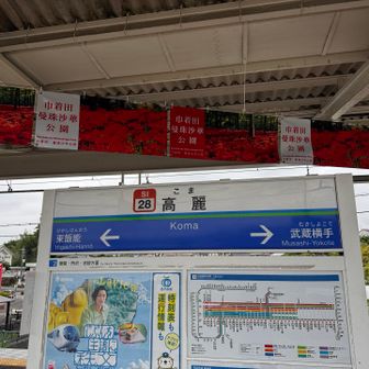高麗駅でフィニッシュ。