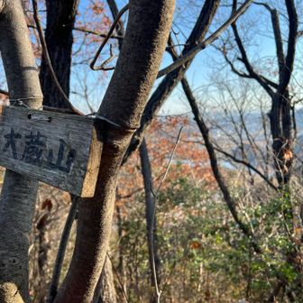 大蔵山下りで左膝痛発症😅ギックリ膝みたいな感じ❓左足着地時の膝角度が悪かった模様