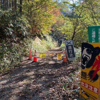 車はこの手前まで。ここから先は徒歩。