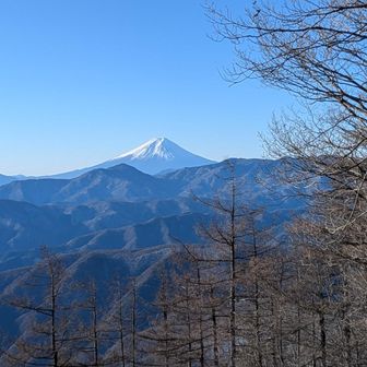 ヨモギノ頭からの富士山。いやー、やっぱり朝の富士山はカッコイイ