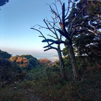 在自山からの眺め