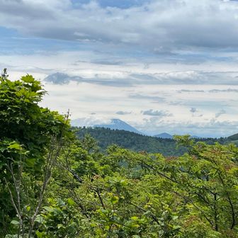 羊蹄山。雲がかかってしまった。