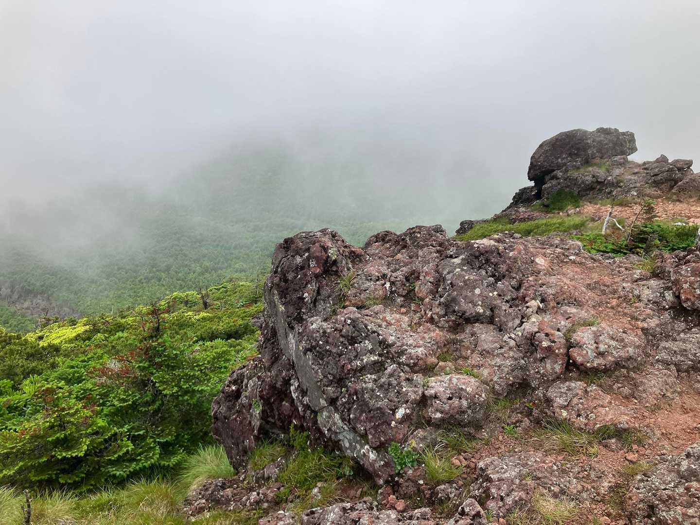 麦草峠-大石峠-中小場-茶臼山 往復コースの写真