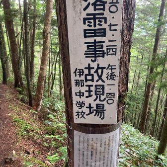 案の定、下りはじめたところで土砂降り。
登山道が川になり、レインを着込むも
濡れそぼってしまいました。
途中、夏合宿でしょうか。
学生さんの団体とすれ違いました。
三十数年前、ぼくもワンゲルに所属してたのを
懐かしく思い出しました、