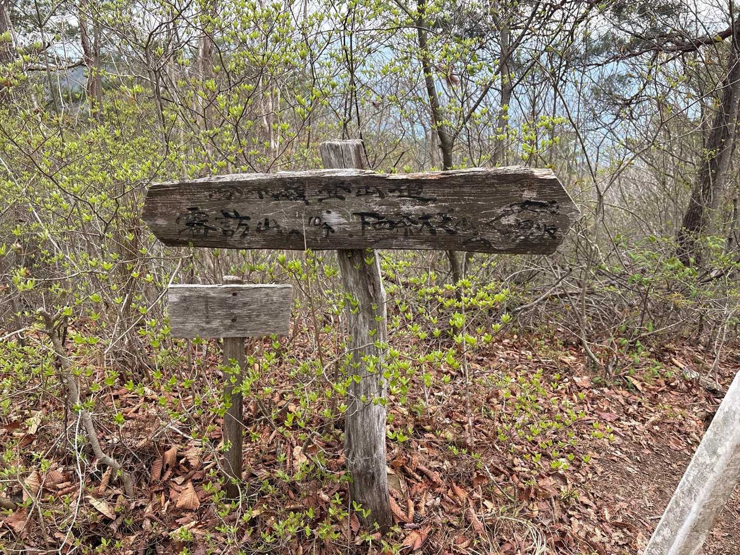 霧訪山周回 | 中央分水嶺上に連なる小さな峰。のどかな山頂に全方位の山岳展望がの写真