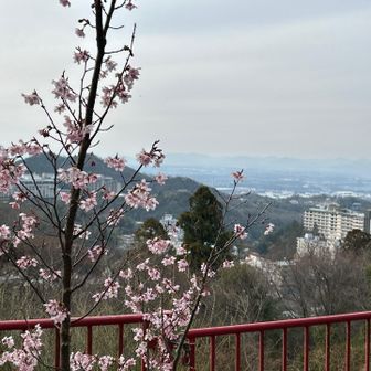 有馬稲荷山からの有馬ホテル街です