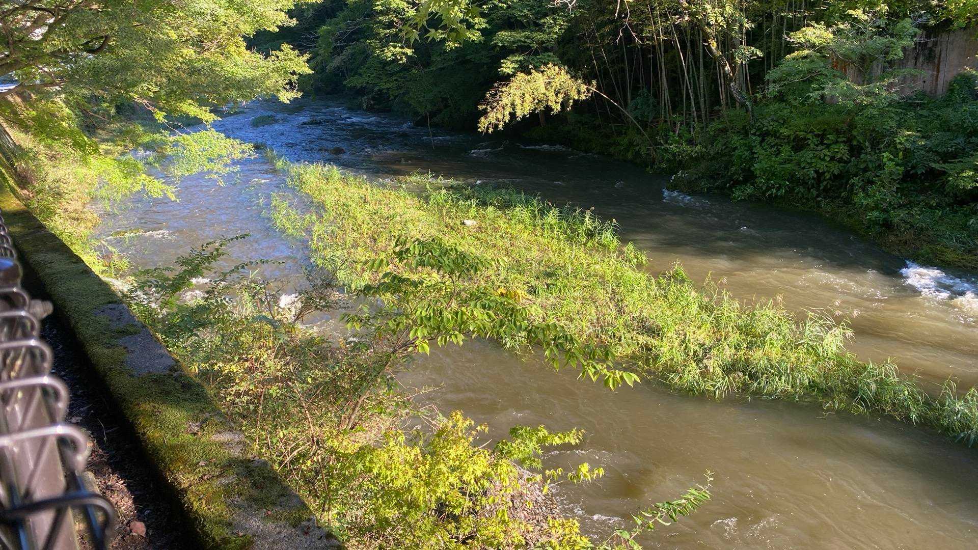 諦めて滝川