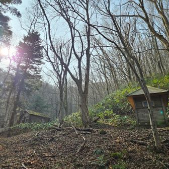 山小屋まで来た。