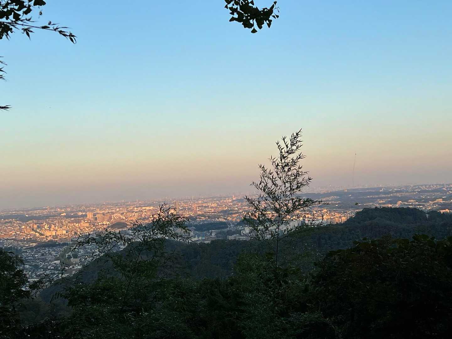 東京や近郊の景色
