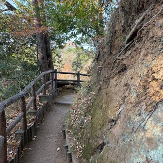 湖畔沿いに歩く気持ちが良い道です🙆🏻