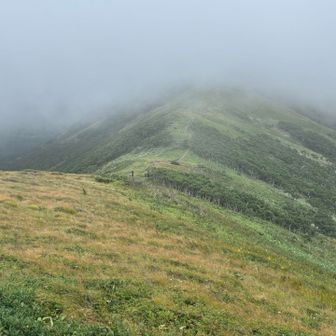 晴れてたら、もっと綺麗に見えるのにね