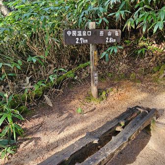 第三ベンチ
距離的には、ほぼ中間点