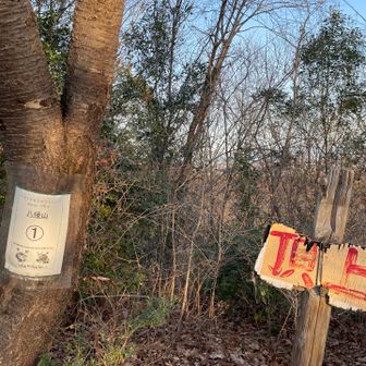 一座目とうちゃく〜