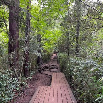 いつもの稲荷山コースで。
