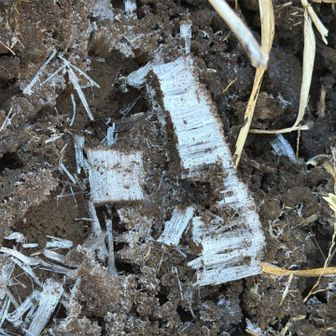 山頂近くは、道が凍っている　霜柱🧊